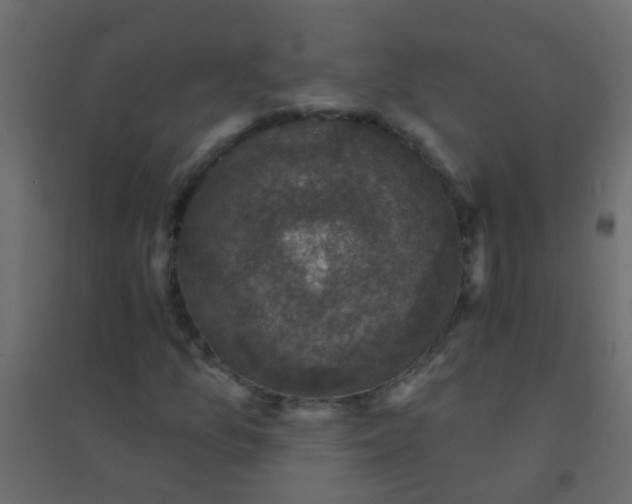X0000094901157200712131424