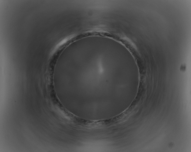 X0000094901159200712131424