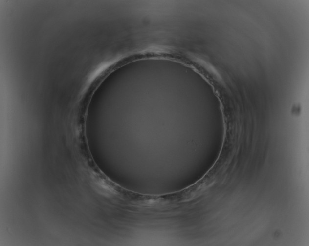 X0000094901160200712131424