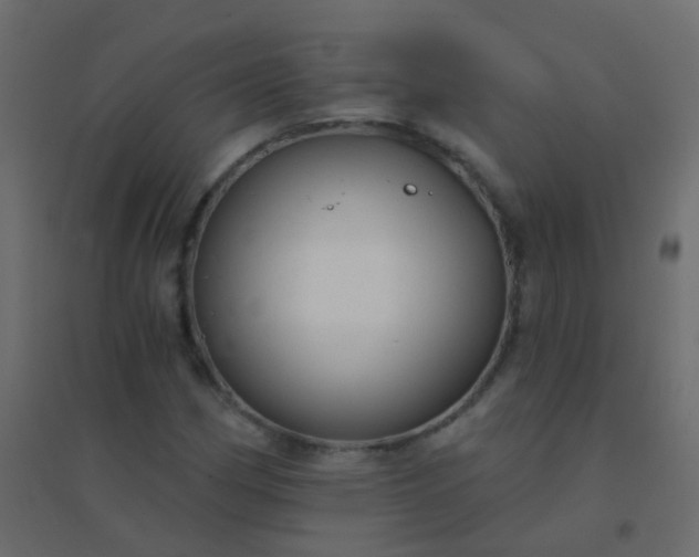 X0000094901162200712131424