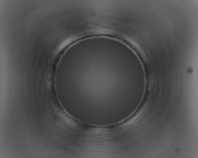 X0000094901163200712131424