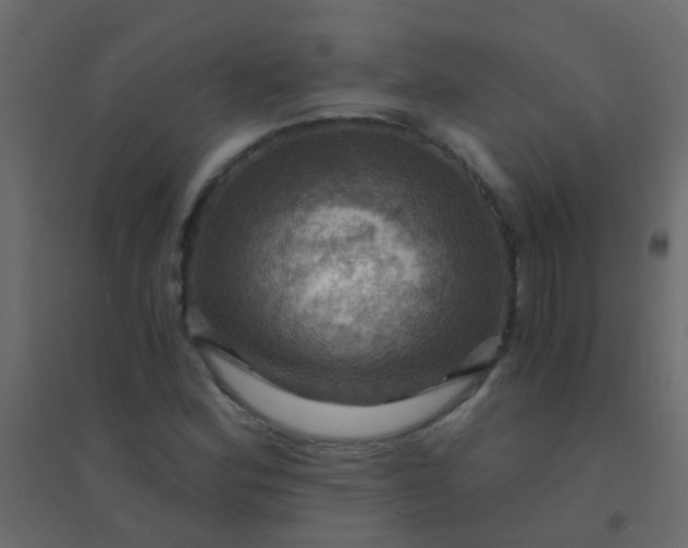 X0000094901164200712131424