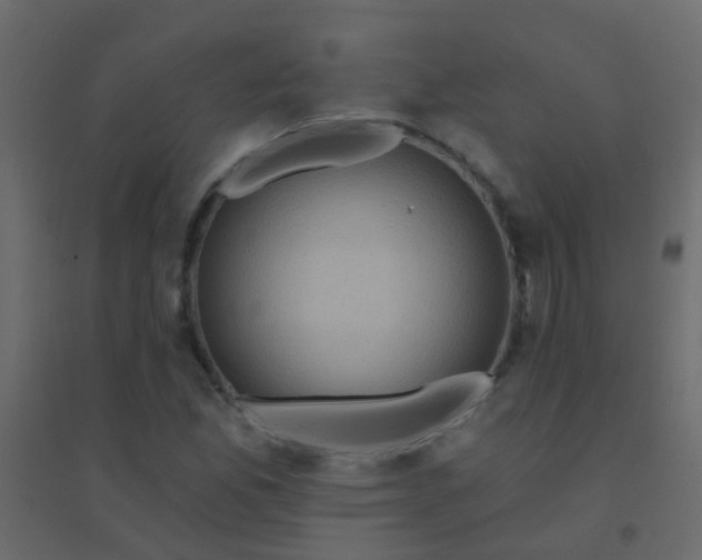 X0000094901165200712131424