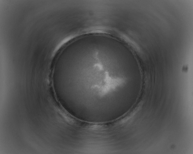 X0000094901166200712131424