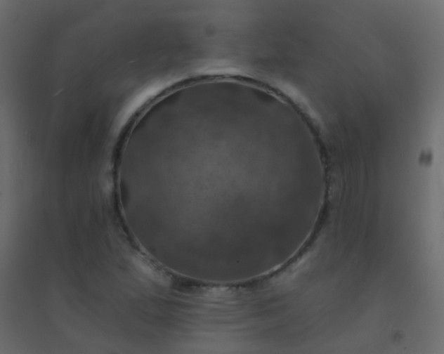 X0000094901167200712131424