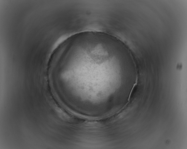 X0000094901168200712131424