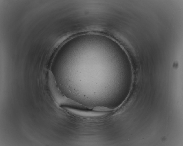 X0000094901169200712131424