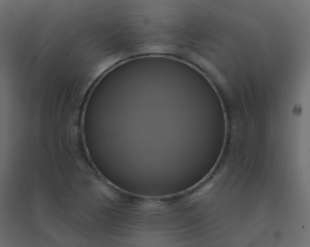 X0000094901170200712131424