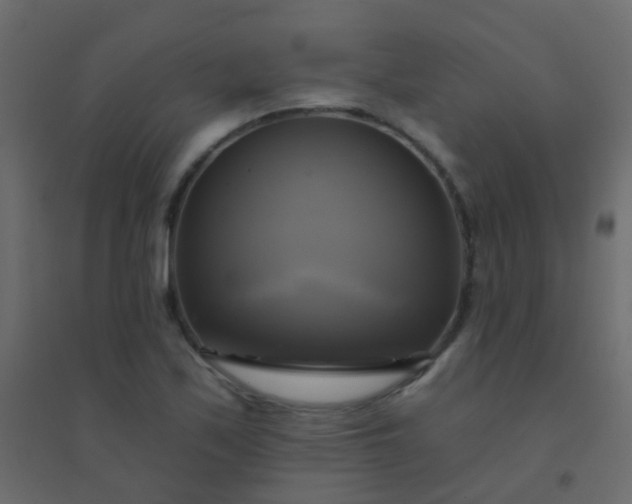 X0000094901171200712131424
