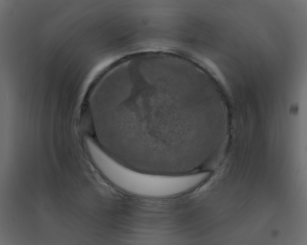 X0000094901172200712131424