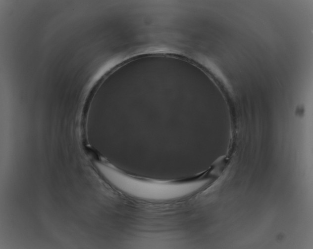 X0000094901173200712131424