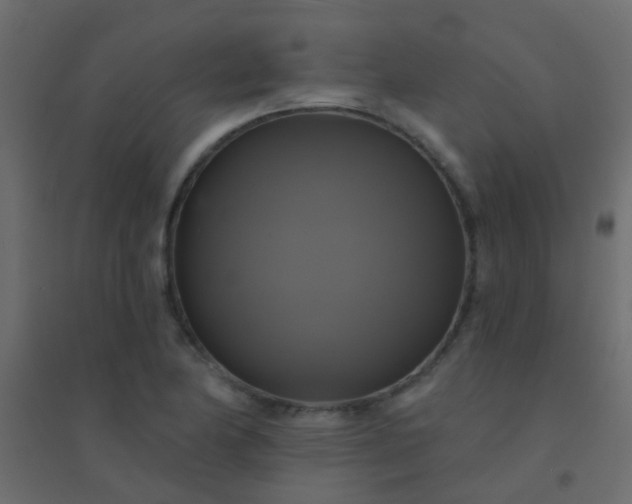 X0000094901174200712131424