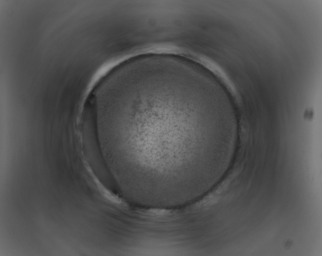 X0000094901176200712131424
