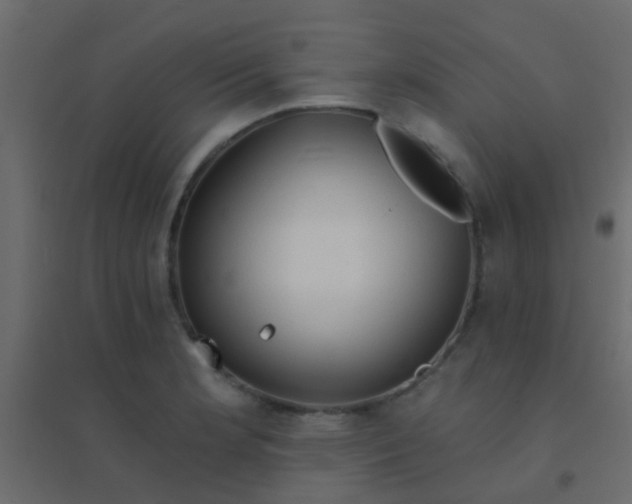 X0000094901181200712131424