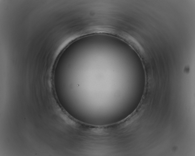 X0000094901182200712131424
