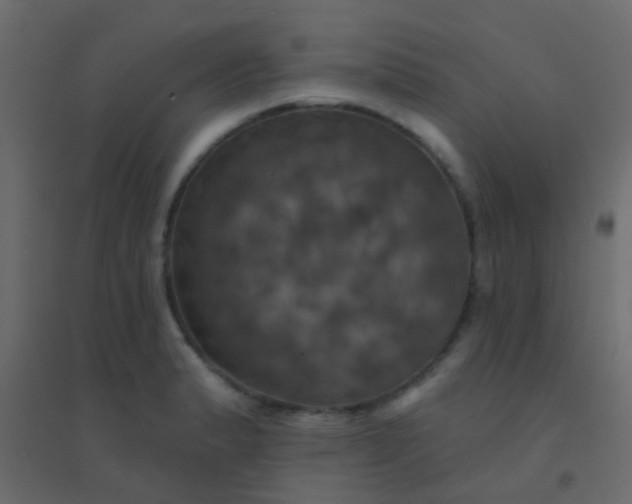 X0000094901183200712131424