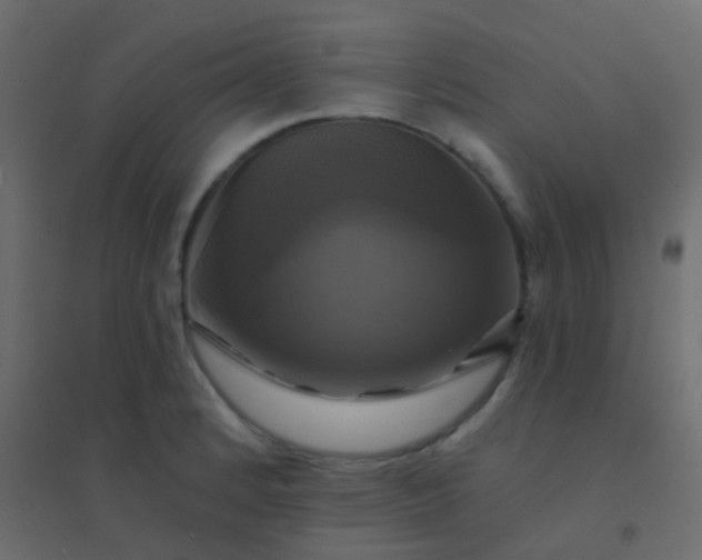 X0000094901184200712131424