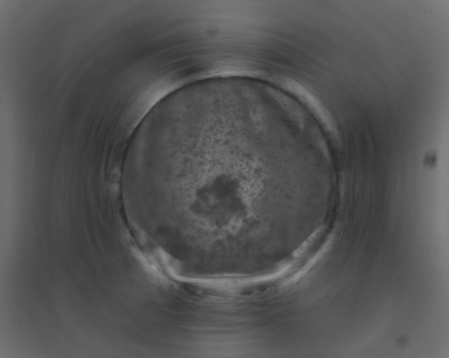 X0000094901185200712131424