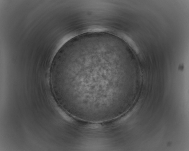 X0000094901186200712131424