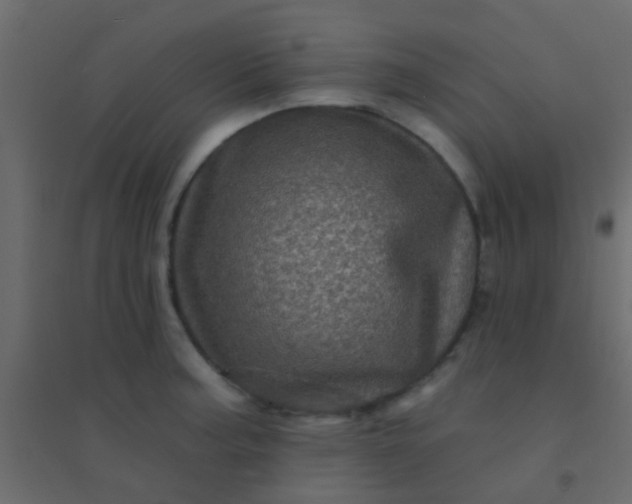 X0000094901187200712131424