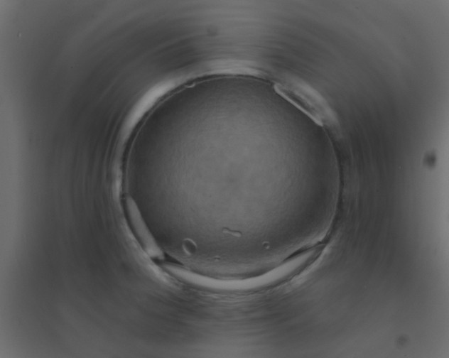 X0000094901188200712131424