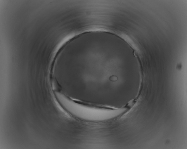 X0000094901189200712131424