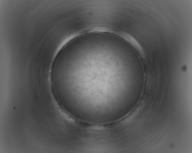 X0000094901190200712131424