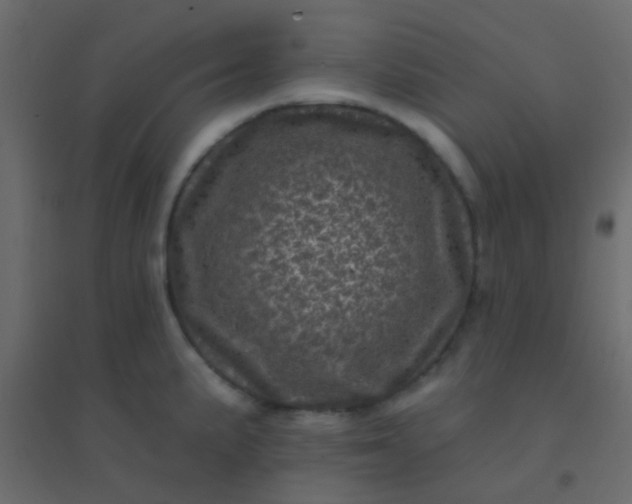 X0000094901191200712131424