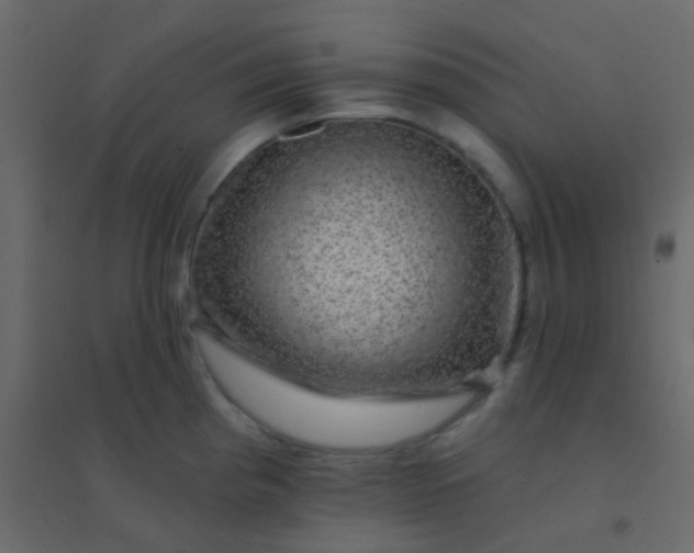 X0000094901193200712131423