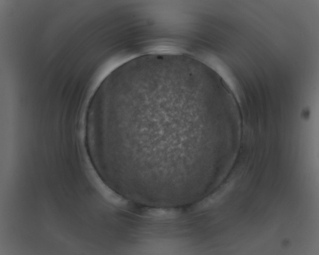 X0000094901195200712131423