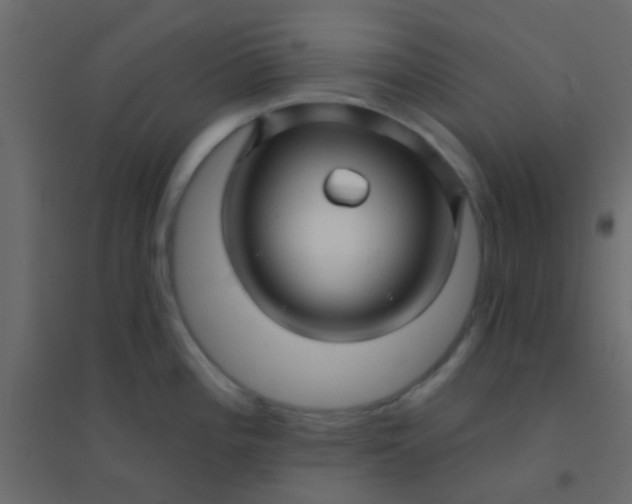 X0000094901196200712131423