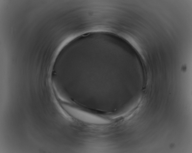 X0000094901197200712131423