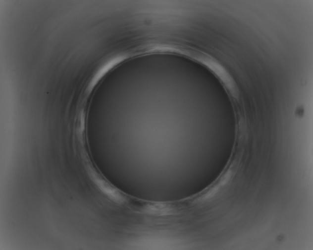 X0000094901198200712131423