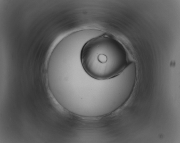 X0000094901200200712131423