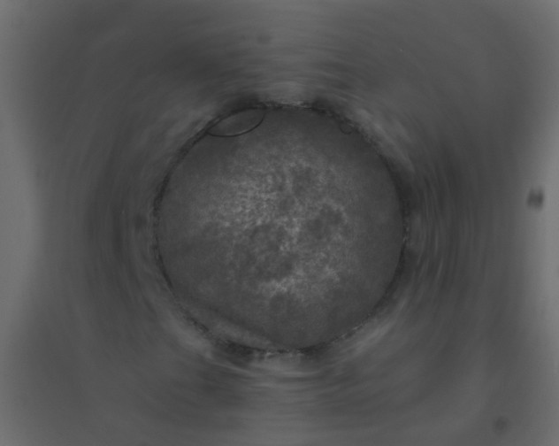 X0000094901201200712131423