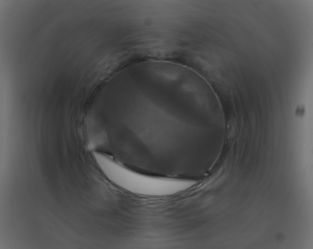 X0000094901202200712131423