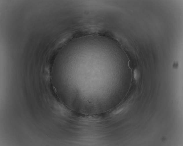 X0000094901203200712131423