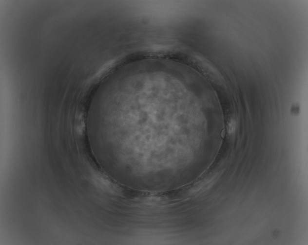 X0000094901204200712131423