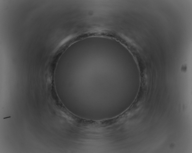 X0000094901206200712131423