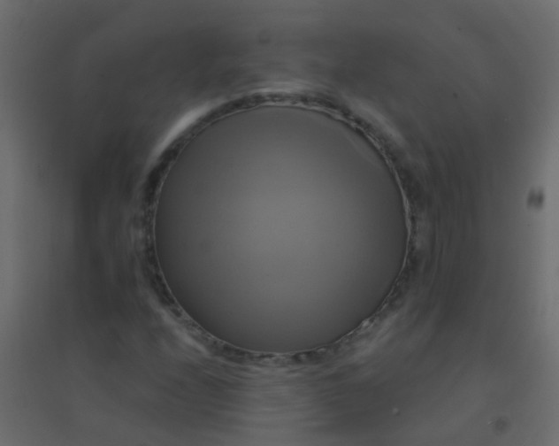 X0000094901208200712131423