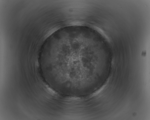 X0000094901209200712131423
