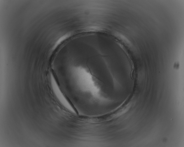 X0000094901210200712131423