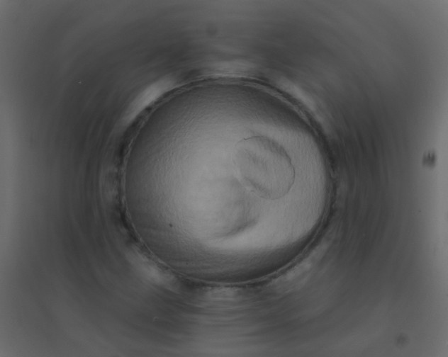 X0000094901211200712131423