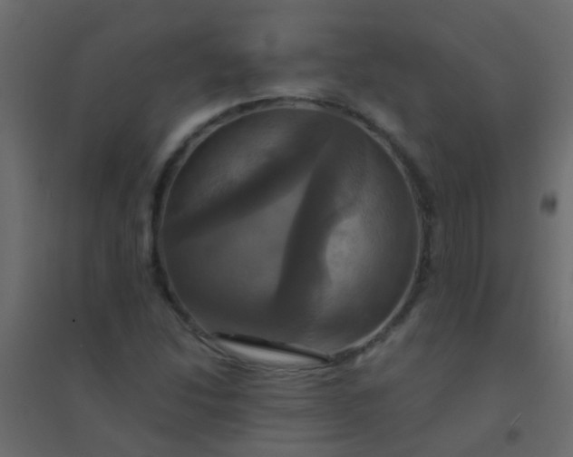 X0000094901214200712131423
