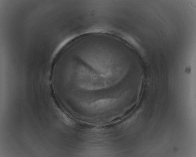 X0000094901216200712131423