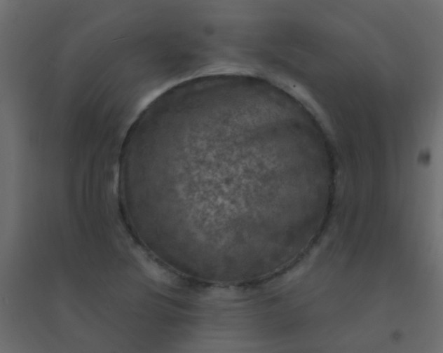 X0000094901220200712131423