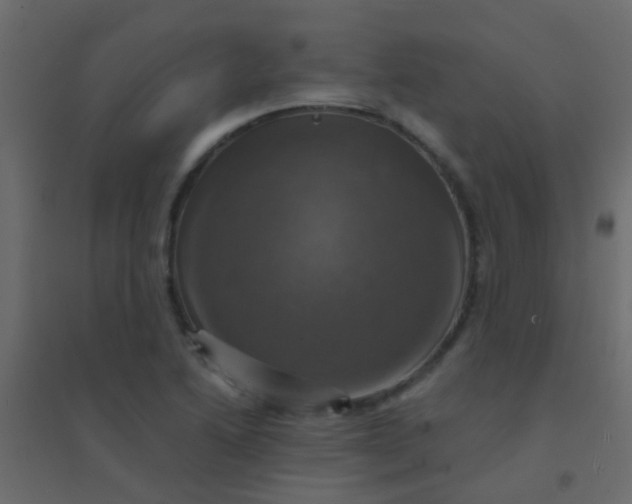 X0000094901222200712131423