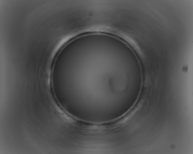 X0000094901224200712131423