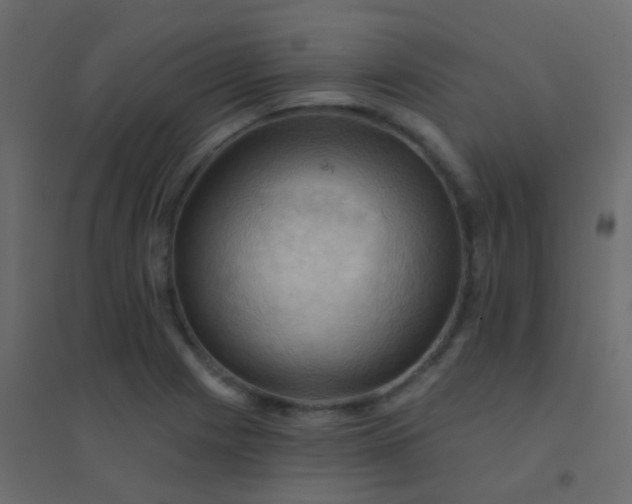 X0000094901225200712131423