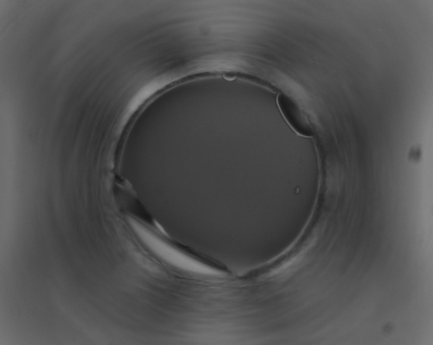 X0000094901226200712131423